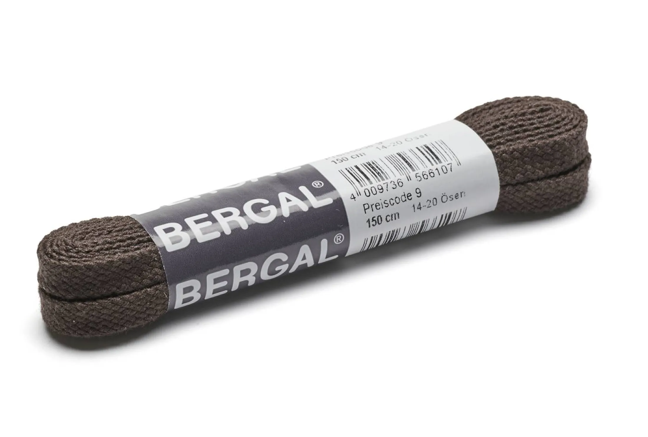 Bergal skolisser