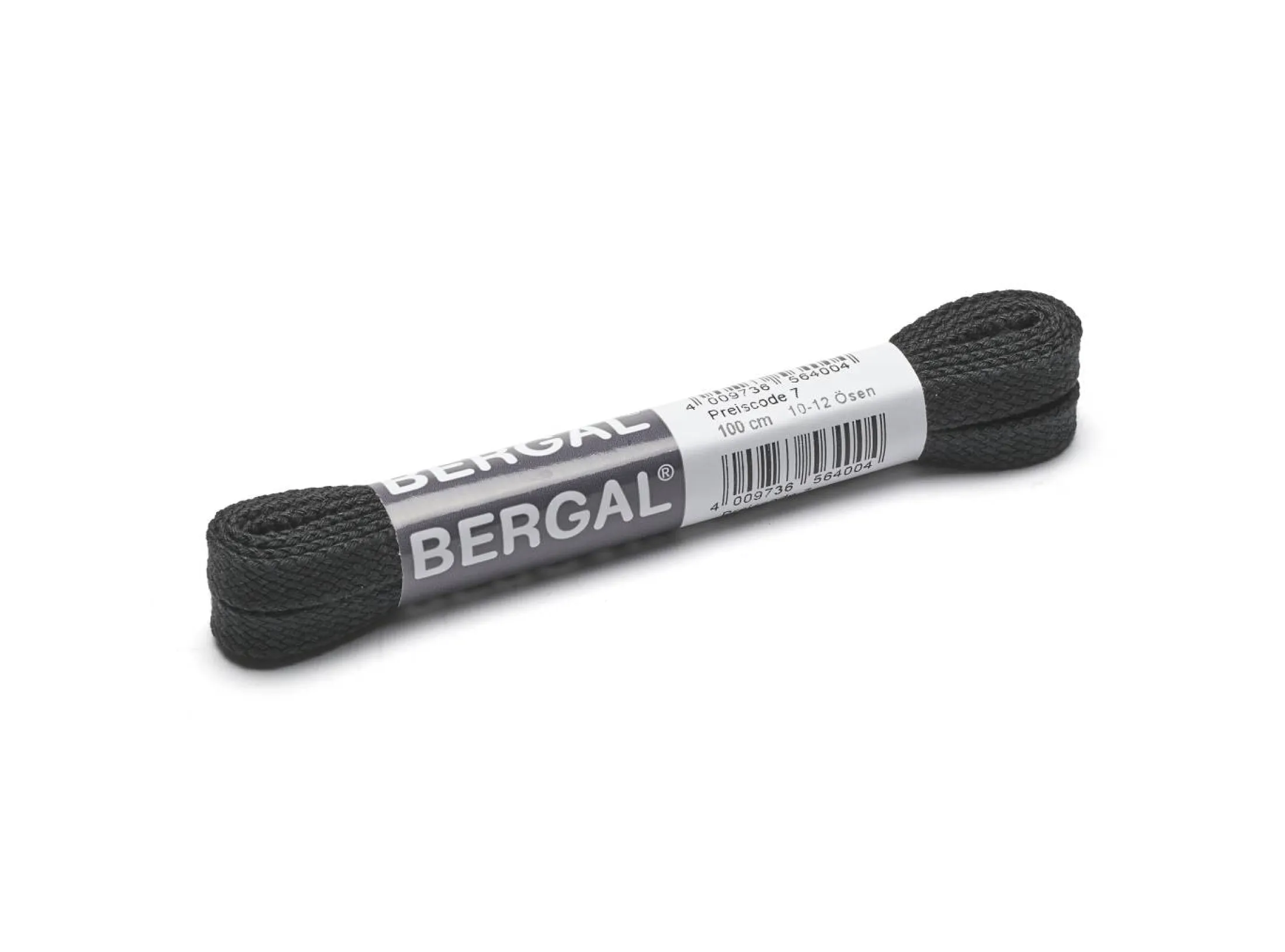 Bergal skolisser