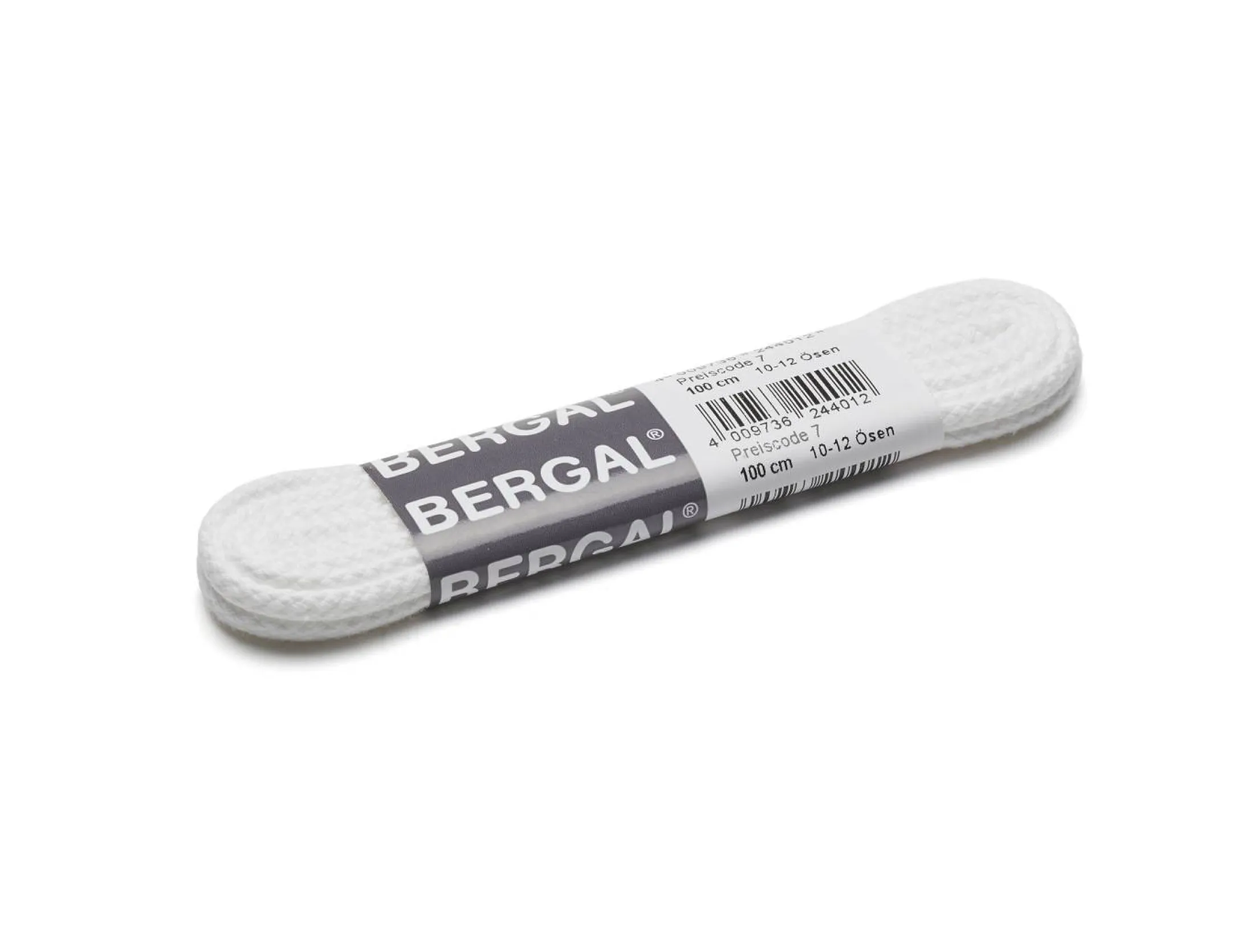 Bergal skolisser