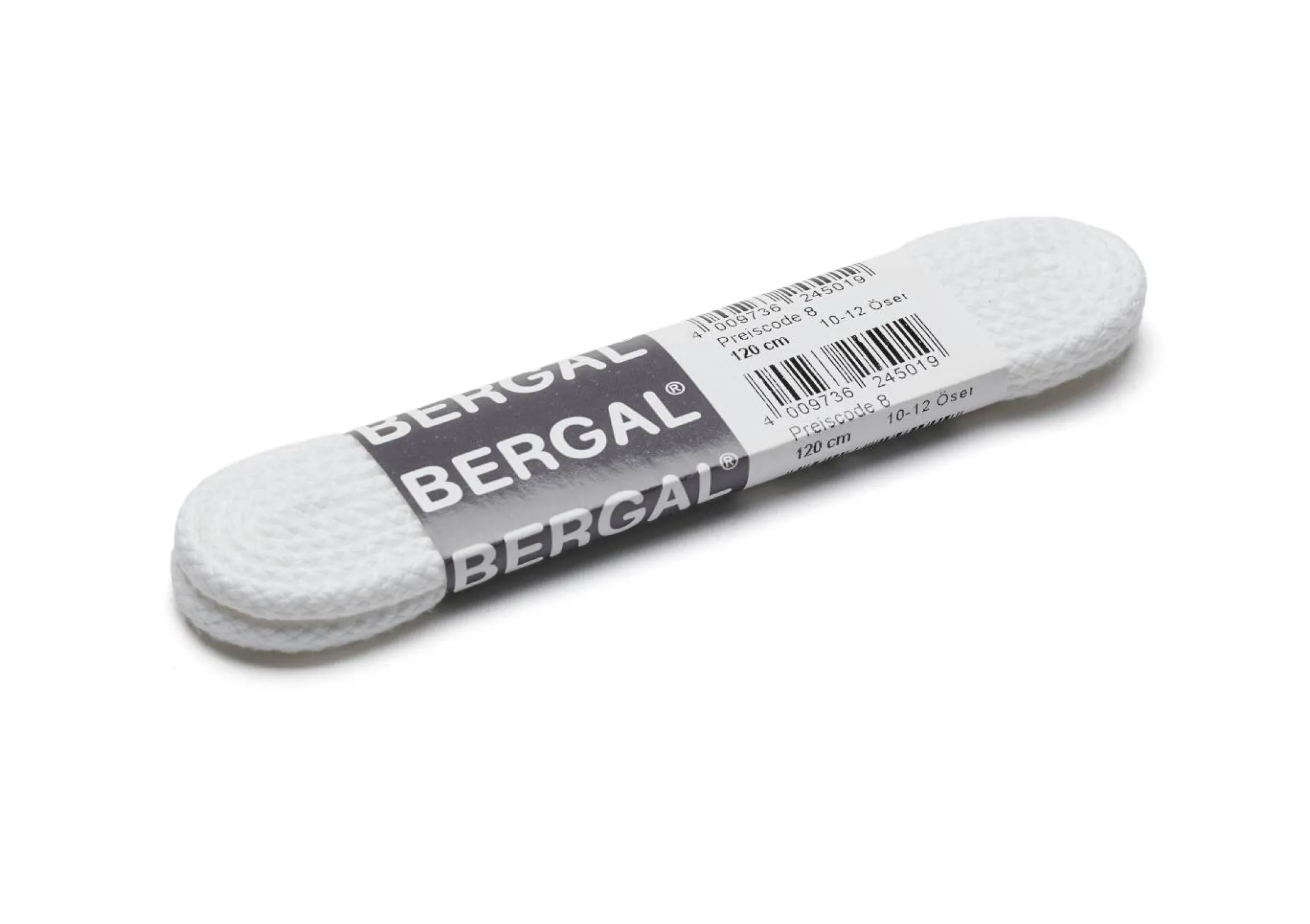 Bergal skolisser