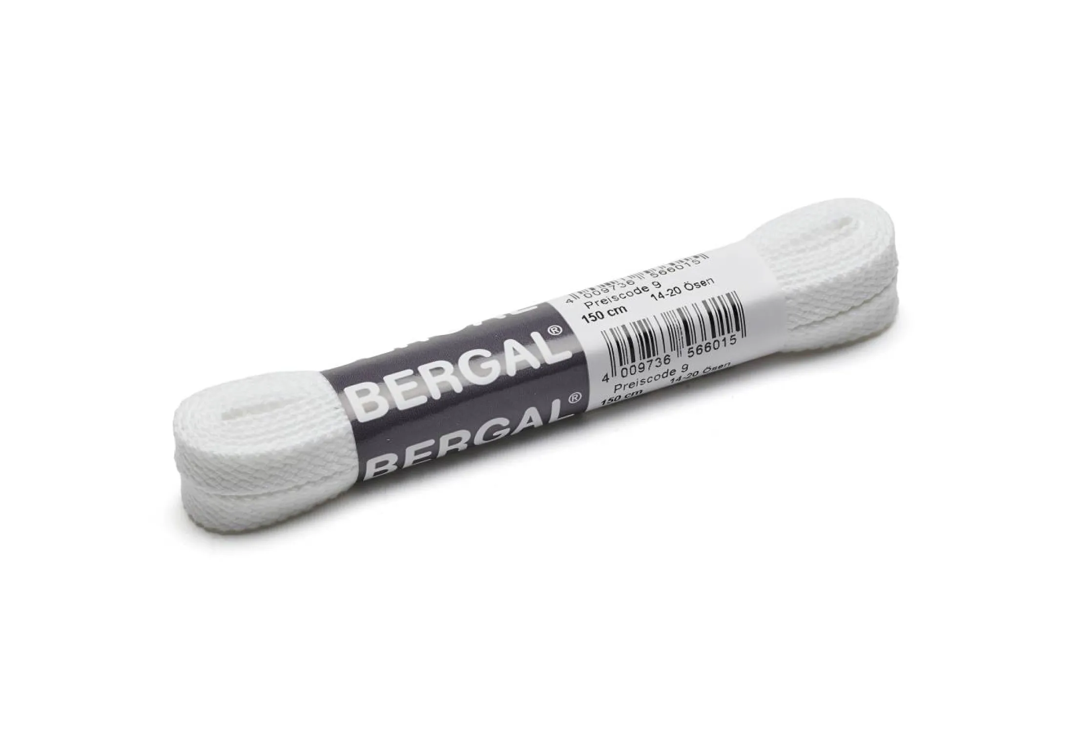 Bergal skolisser
