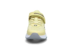 Okaki Trail C
